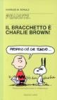 Il bracchetto e Charlie Brown!