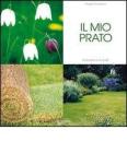 Il mio prato ornamentale