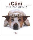 Cani che passione!