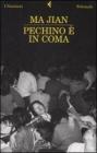 Pechino � in coma