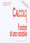 Calcolo vol.1
