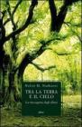 Tra la terra e il cielo. Il nostro rapporto con gli alberi