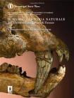 Il museo di storia naturale dell'Universit� degli studi di Firenze. Le collezioni geologiche e paleontologiche. Ediz. italiana e inglese