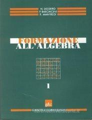 Formazione all'algebra. Per il biennio delle Scuole superiori vol.1 Formazione all'algebra. Per il biennio delle Scuole superiori vol.1