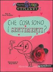 Che cosa sono i sentimenti?