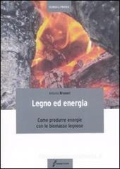 Legno ed energia. Come produrre energie con le biomasse legnose Legno ed energia. Come produrre energie con le biomasse legnose