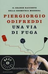Una via di fuga. Il grande racconto della geometria moderna Una via di fuga. Il grande racconto della geometria moderna