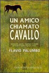 Un amico chiamato cavallo