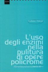 L' uso degli enzimi nella pulitura di opere policrome