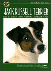 Jack Russel terrier Jack Russel terrier