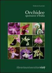 Orchidee spontanee d'Italia Orchidee spontanee d'Italia