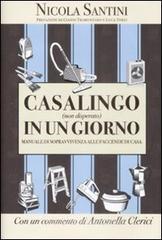 Casalingo (non disperato) in un giorno. Manuale di sopravvivenza alle faccende di casa. eBook