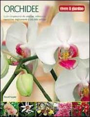 Orchidee Orchidee