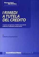 I rimedi a tutela del credito