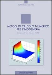 Metodi di calcolo numerico per lingegneria. eBook