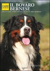 Il bovaro bernese Il bovaro bernese