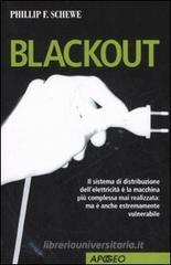 Blackout. Il sistema di distribuzione dell'elettricit� � la macchina pi� complessa mai realizzata: ma � anche estremamente vulnerabile