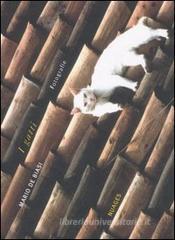 I gatti. Fotografie I gatti. Fotografie