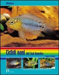 Ciclidi nani del Sud America Ciclidi nani del Sud America