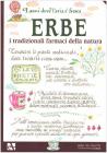 Erbe. I tradizionali farmaci della natura