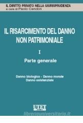 Il risarcimento del danno non patrimoniale. Parte generale Il risarcimento del danno non patrimoniale. Parte generale