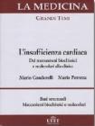 L' insufficienza cardiaca dai meccanismi biochimici e molecolari alla clinica - Basi strutturali e meccanismi biochimici e molecolari