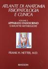 Apparato endocrino
