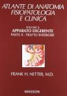 Apparato digerente vol.2