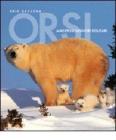 Orsi