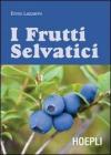 Guida ai frutti selvatici