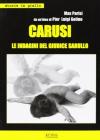 Carusi. Le indagini del giudice Sarullo