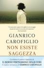 Non esiste saggezza. eBook