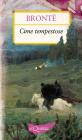 Cime tempestose. eBook