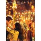 Un amore sotto l'albero