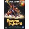 Missing in Action