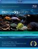Marine Aquarium (Blu-ray)