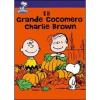 � il grande cocomero, Charlie Brown