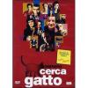 Ognuno cerca il suo gatto