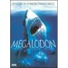 Megalodon
