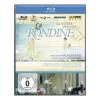 Giacomo Puccini. La rondine (Blu-ray)