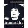 Un anno con tredici lune