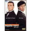 Aquila nera