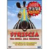 Striscia, una zebra alla riscossa