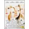 White Oleander. Oleandro bianco