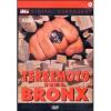 Terremoto nel Bronx