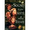 Sogno di una notte di mezza estate