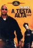 A testa alta