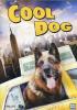 Cool Dog