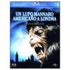 Un lupo mannaro americano a Londra (Blu-ray)