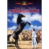 Il ritorno di Black Stallion